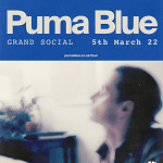 Puma Blue