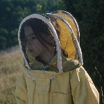 20,000 Species of Bees [Spain]